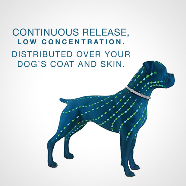 Flea & Tick Collar