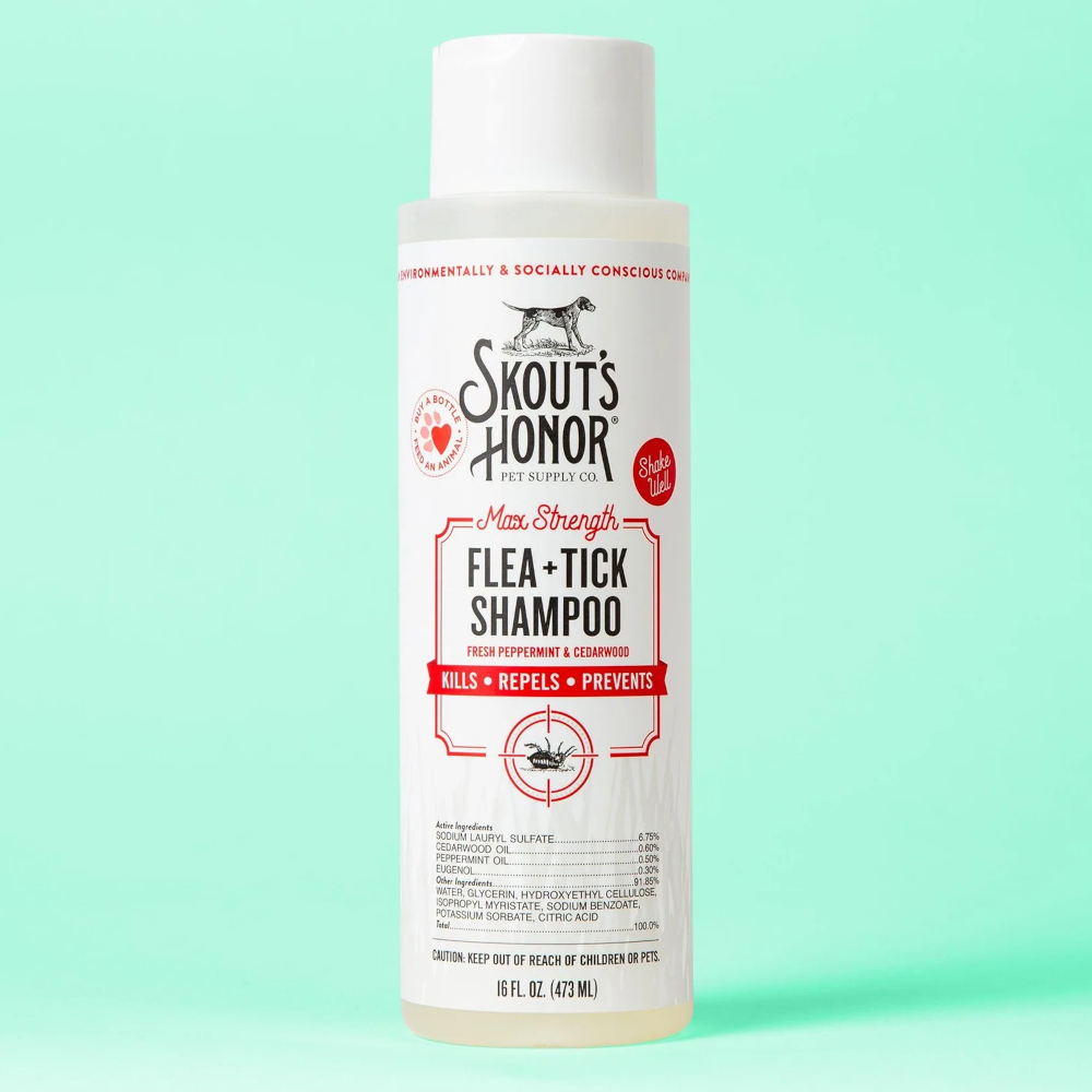 Flea & Tick Shampoo - Dog - 16oz