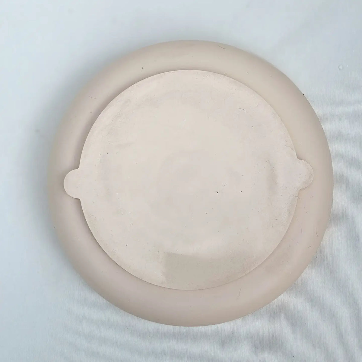 Dog Slow Feeder - Silicone Bowls - 2 Colors