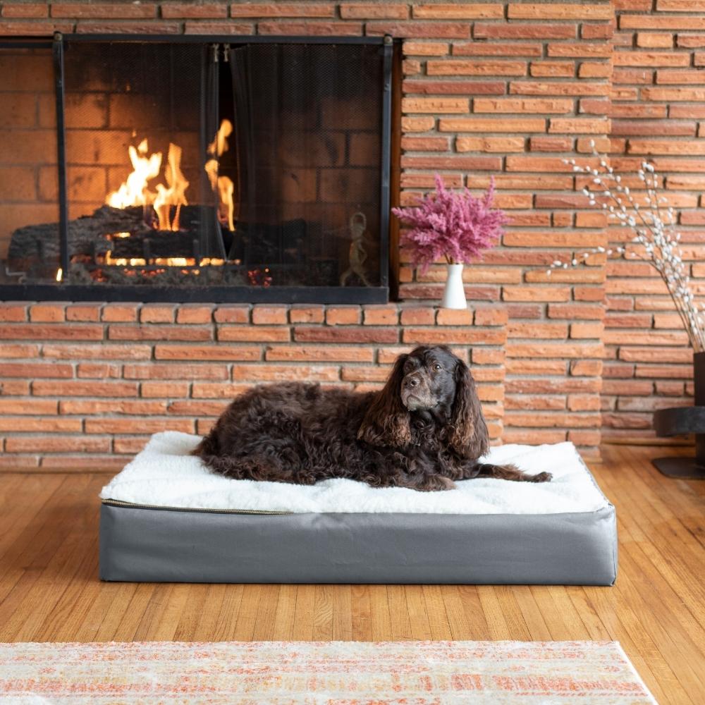 Orthopedic / FurTop Dog Bed
