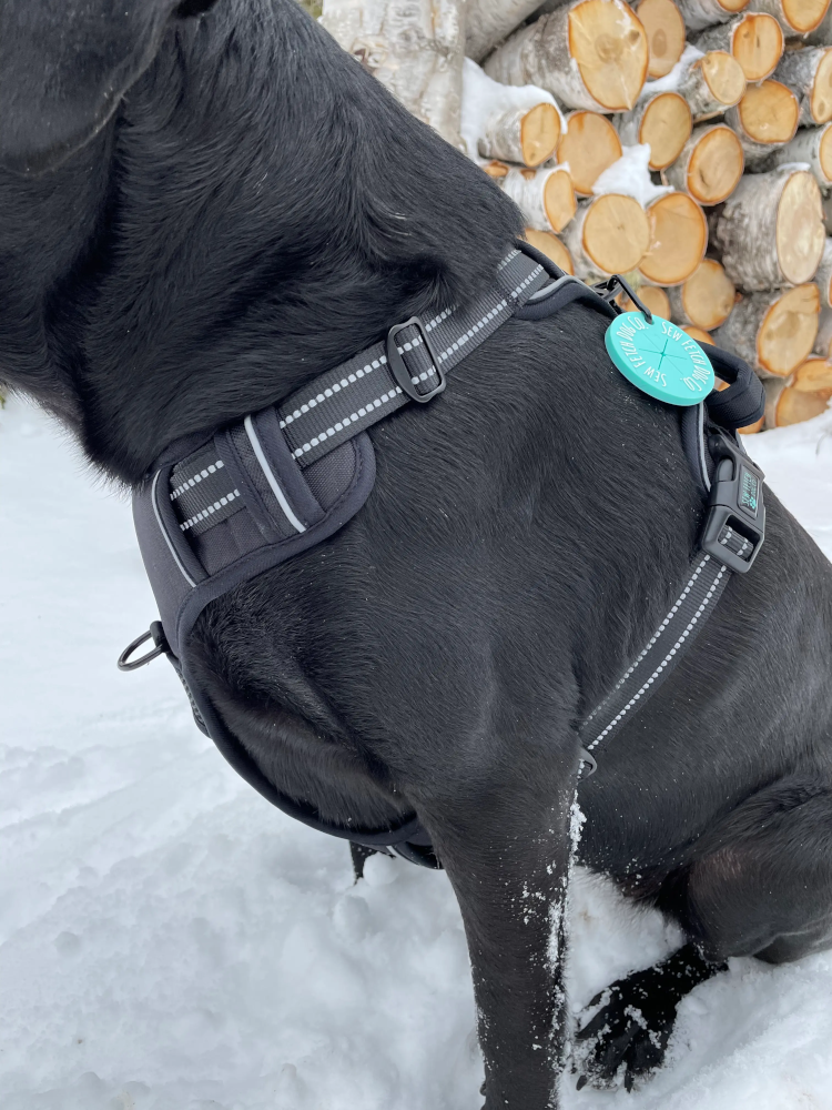 Utility Dog Harness