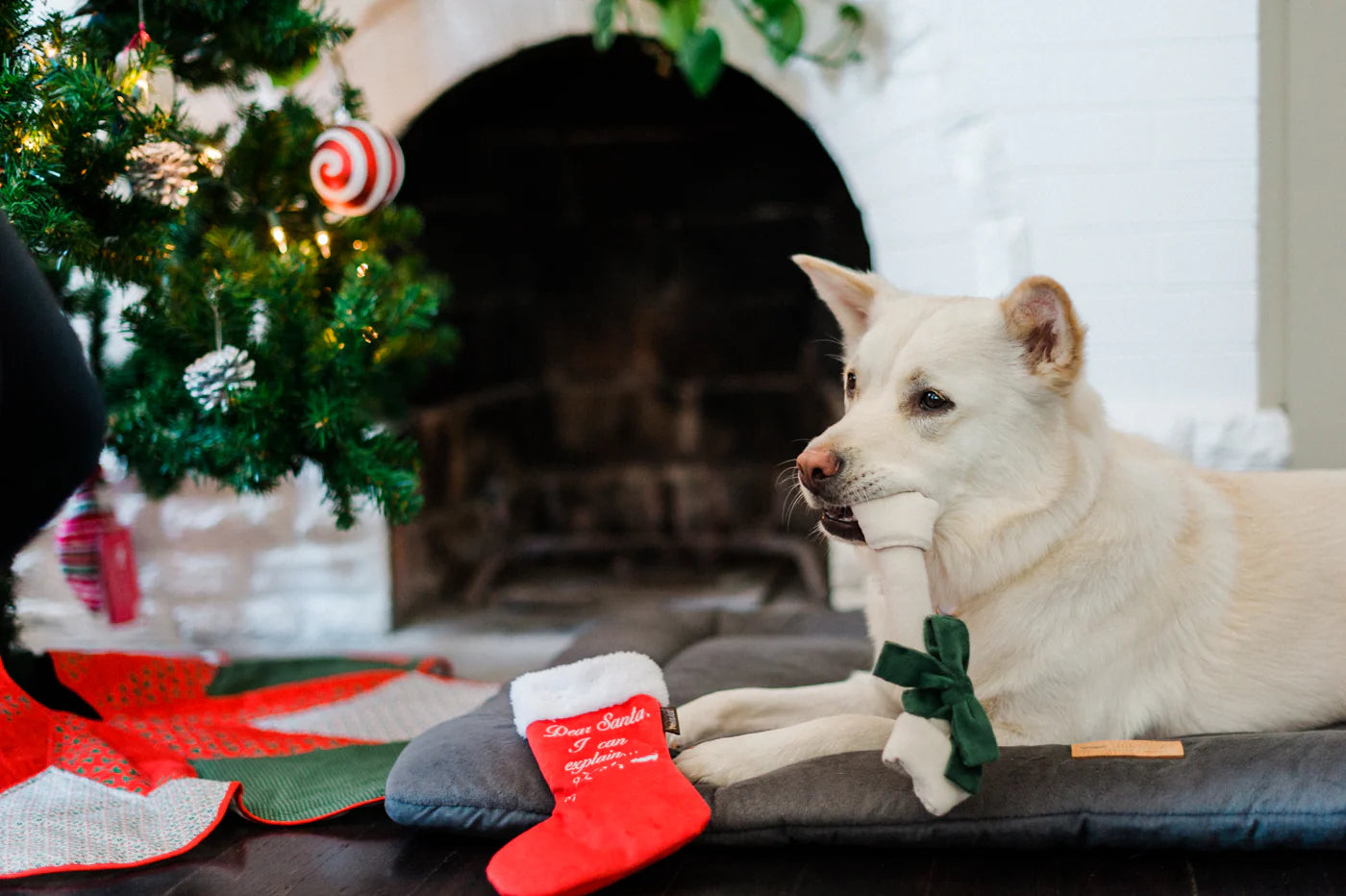 Holiday Stocking