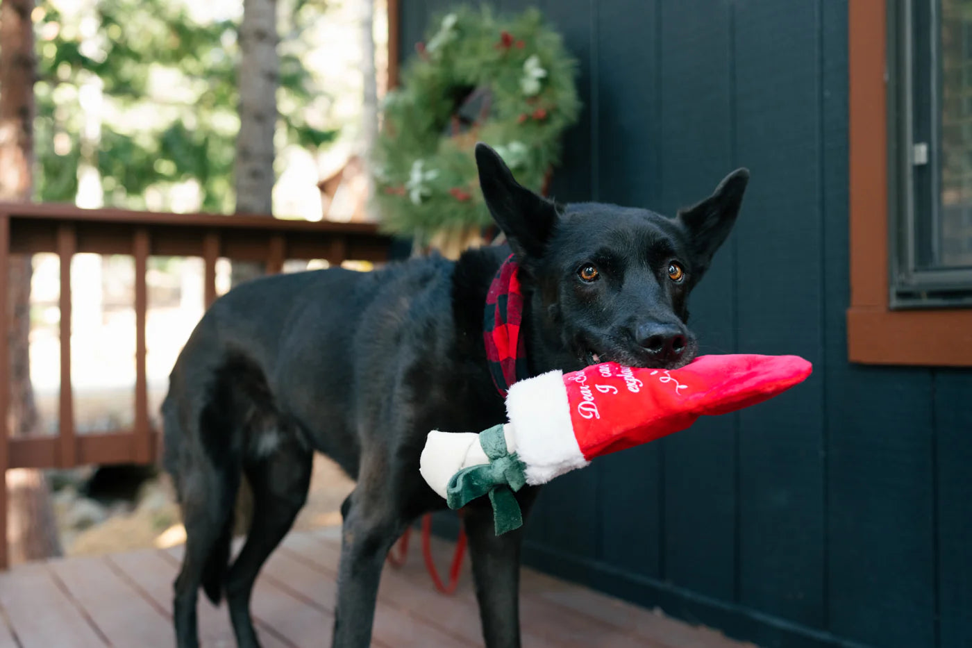 Holiday Stocking