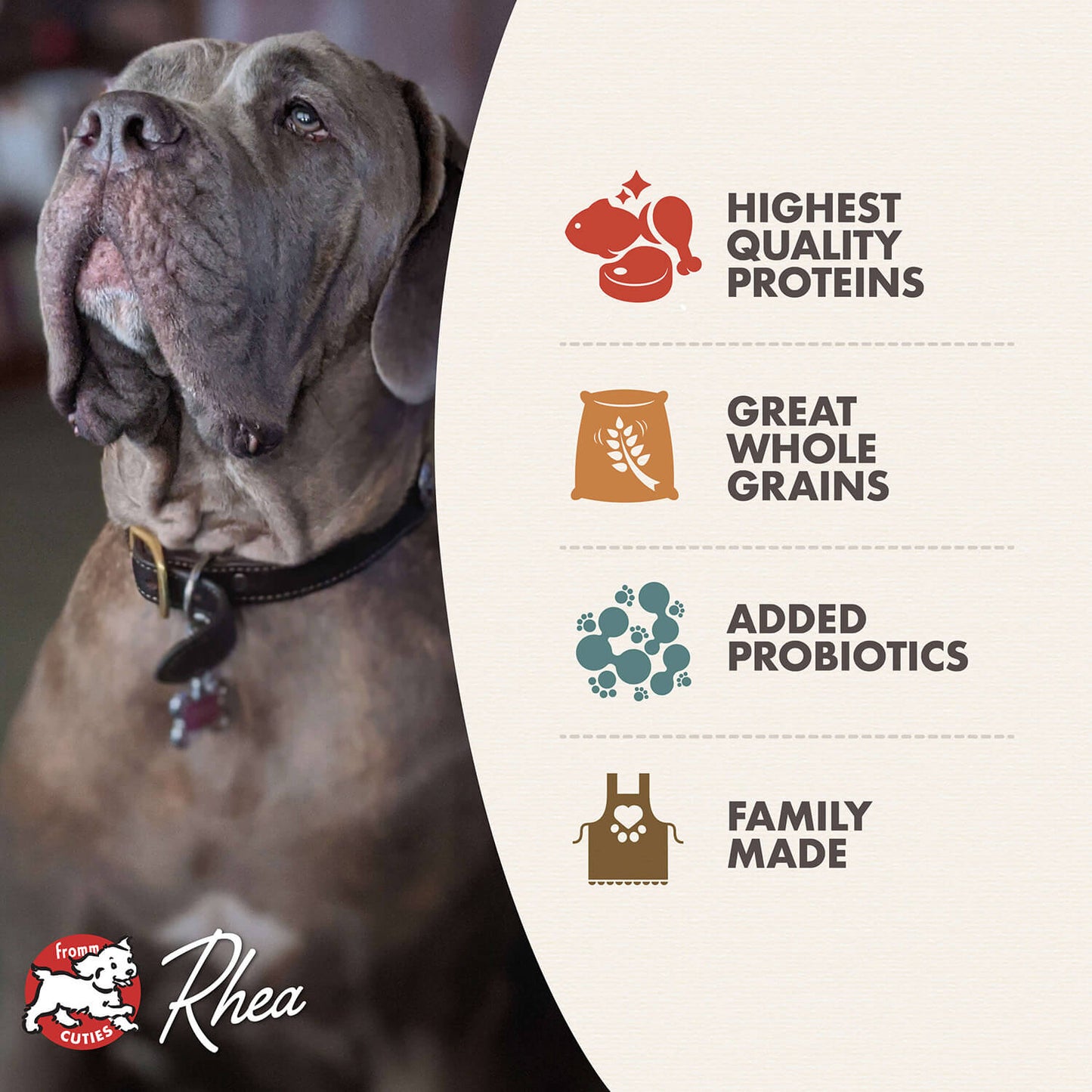 Fromm Dry Dog Food – Large / Giant Breed – 30lb
