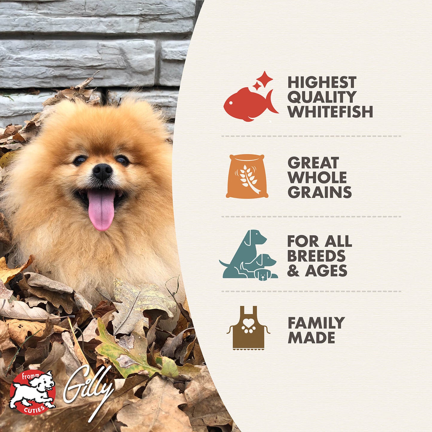 Fromm Dry Dog Food - 4 Star Whitefish & Potato