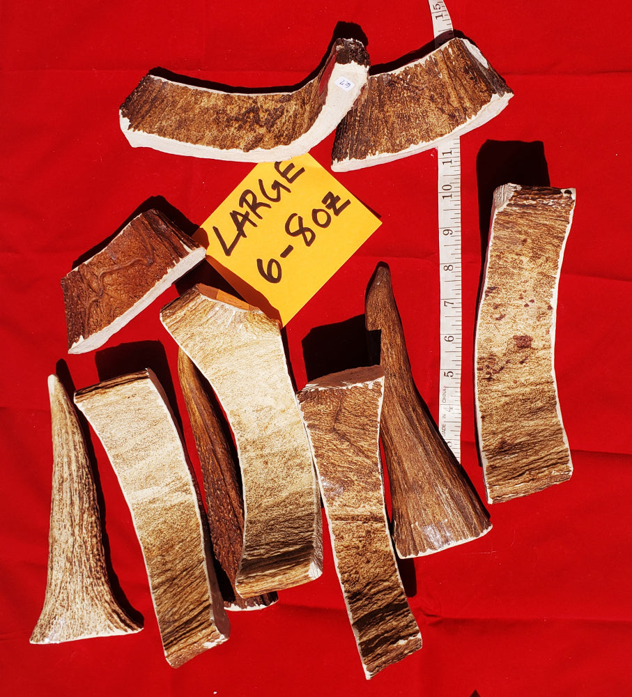 Moose Antler Chews