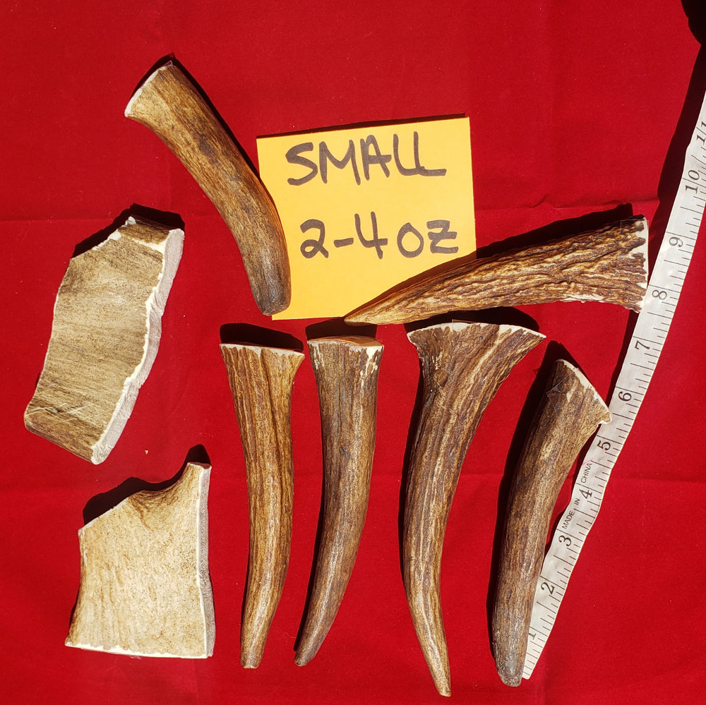 Moose Antler Chews
