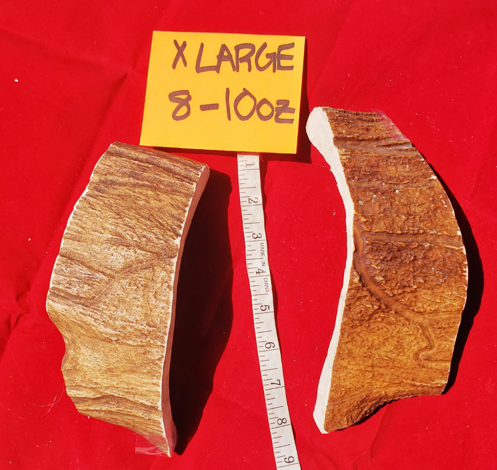 Moose Antler Chews
