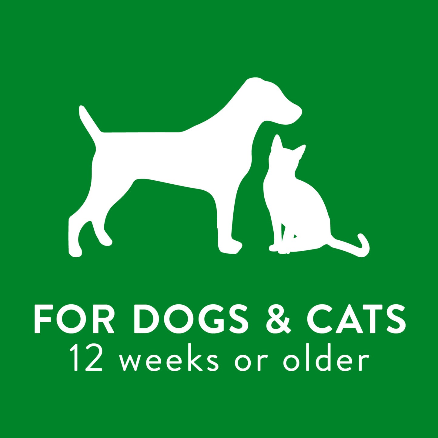 Ear Wash - 4oz