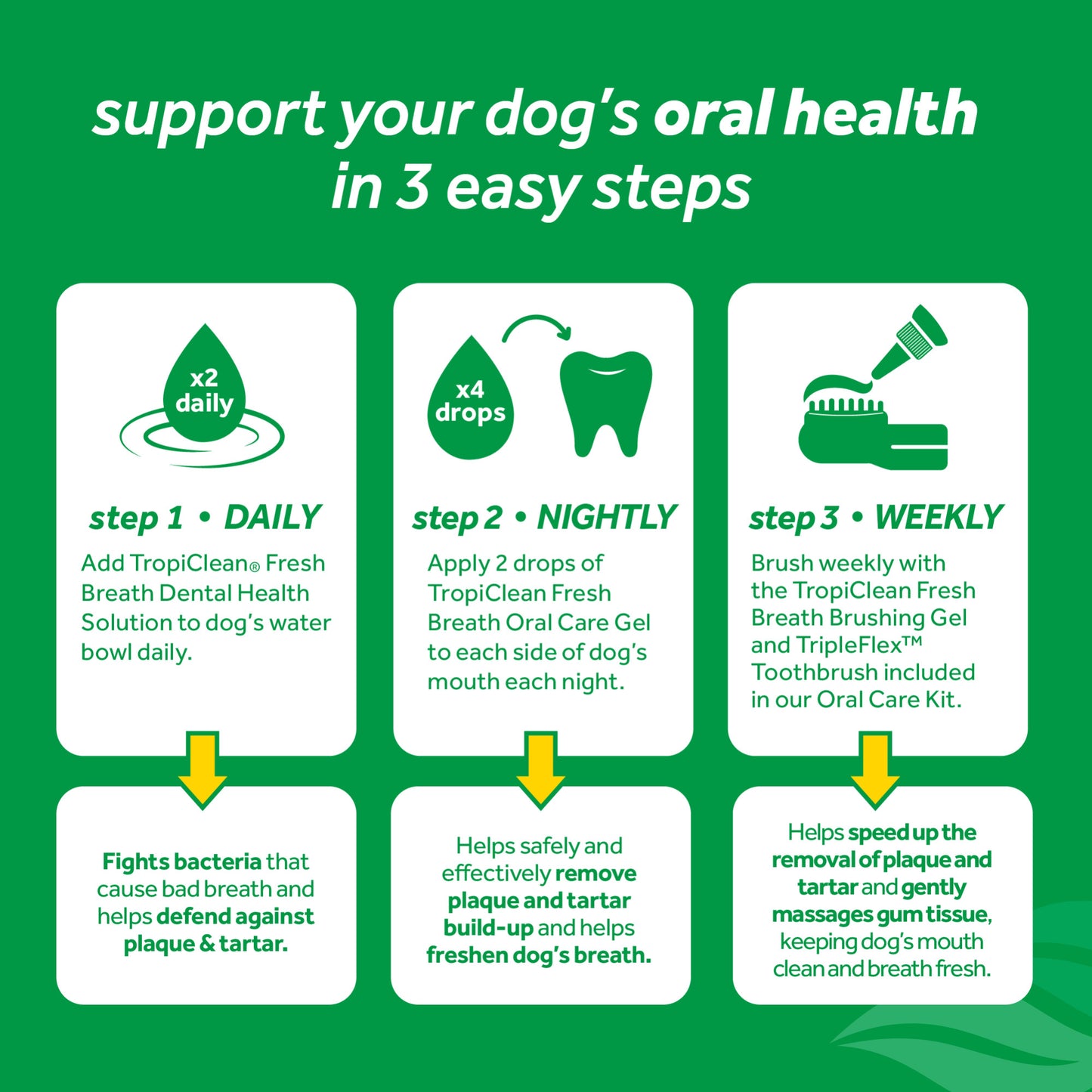 Dental Oral Gel