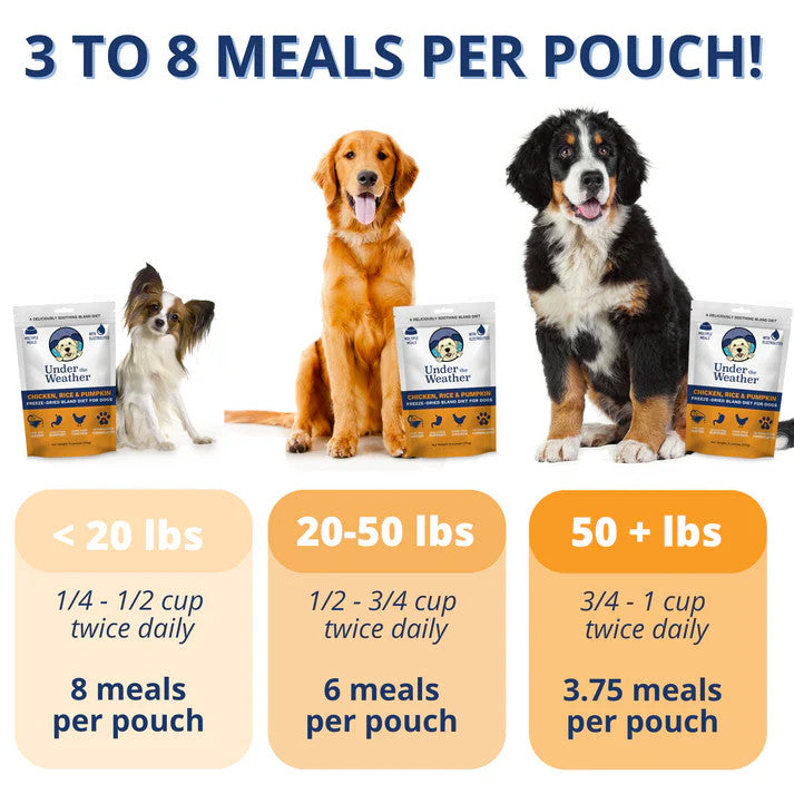 Under the Weather Bland Dog Food - Chicken & Pumpkin - 6oz