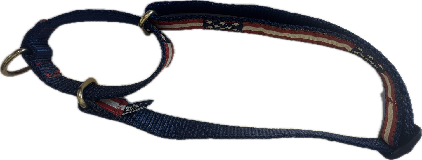 Martingale Dog Collar - Retro USA Flag