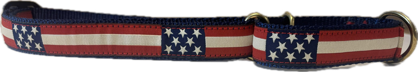 Martingale Dog Collar - Retro USA Flag