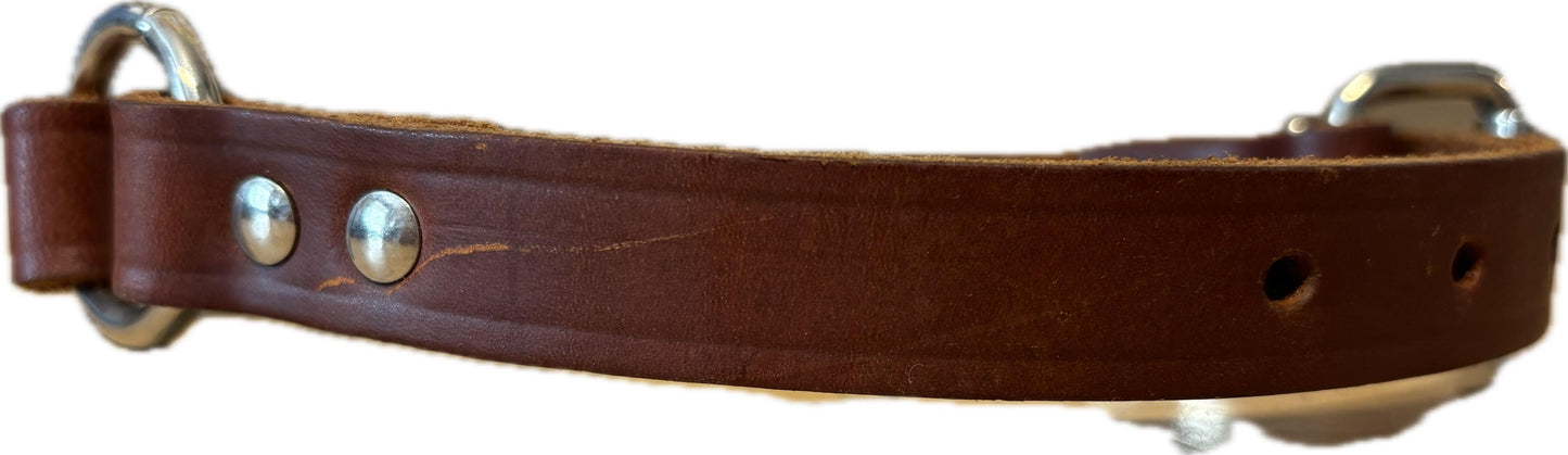 OmniPet Luxe Premium Leather Dog Collar - Classic Brown