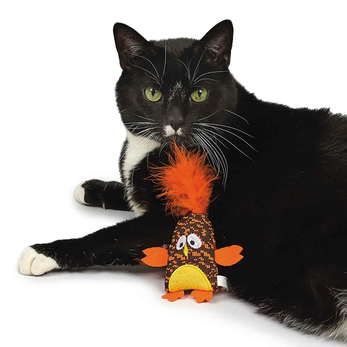 Savvy Tabby Smarty Birds