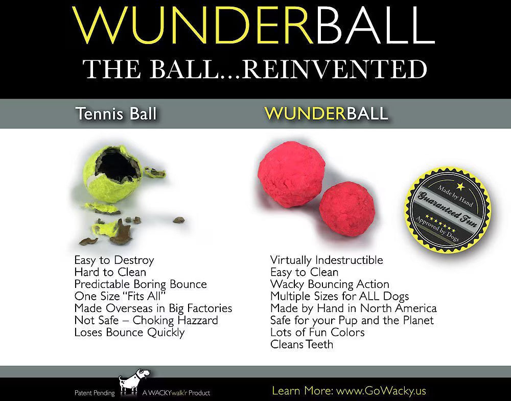 Dog Fetch Toy - Wunderball