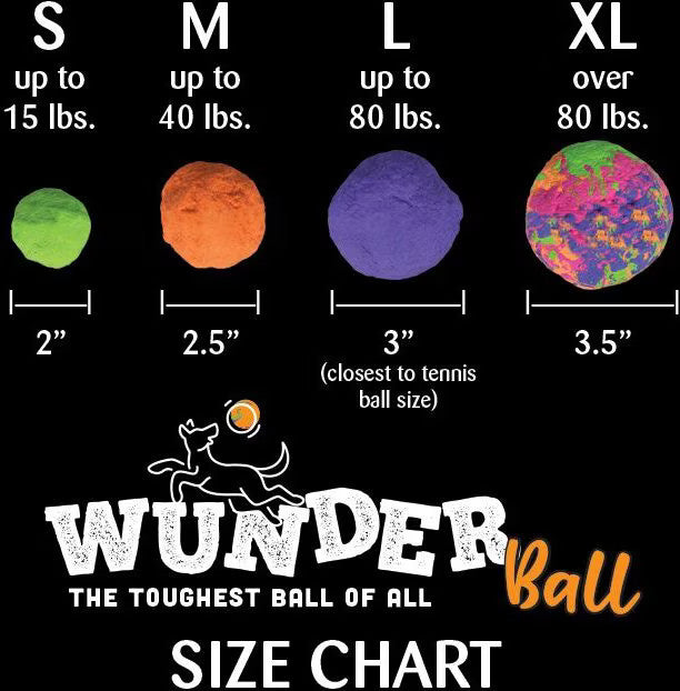 Dog Fetch Toy - Wunderball