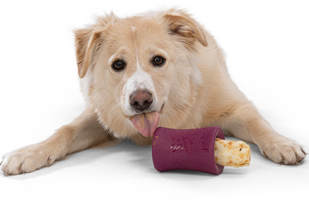 Dog Treat Toy - Earth Animal Funnl