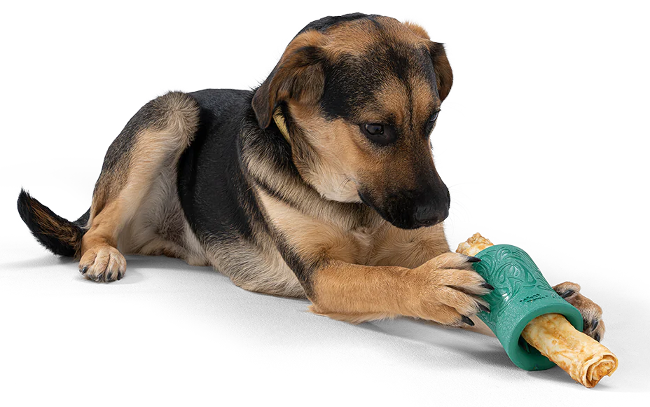 Dog Treat Toy - Earth Animal Funnl