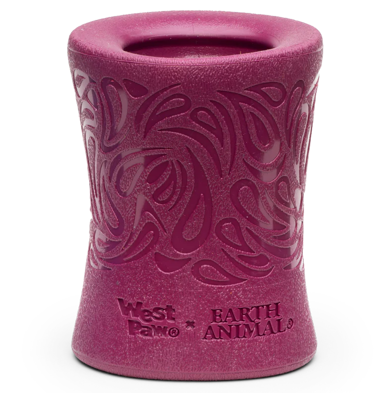 Dog Treat Toy - Earth Animal Funnl