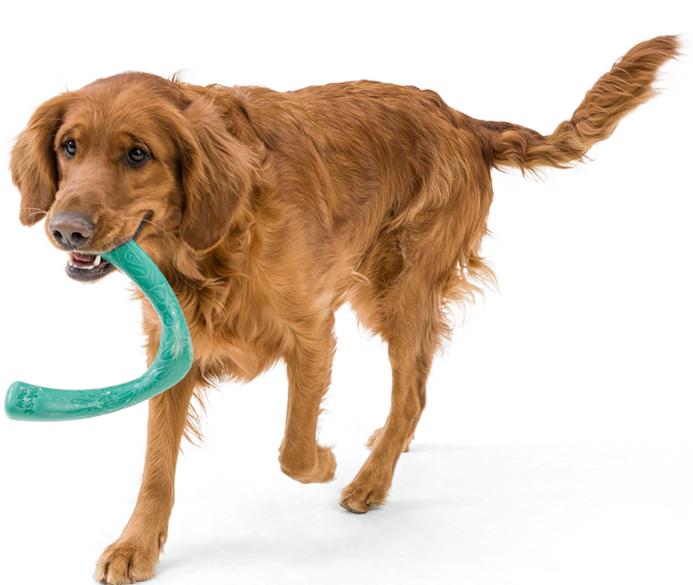 Dog Tug Toy - Snorkl