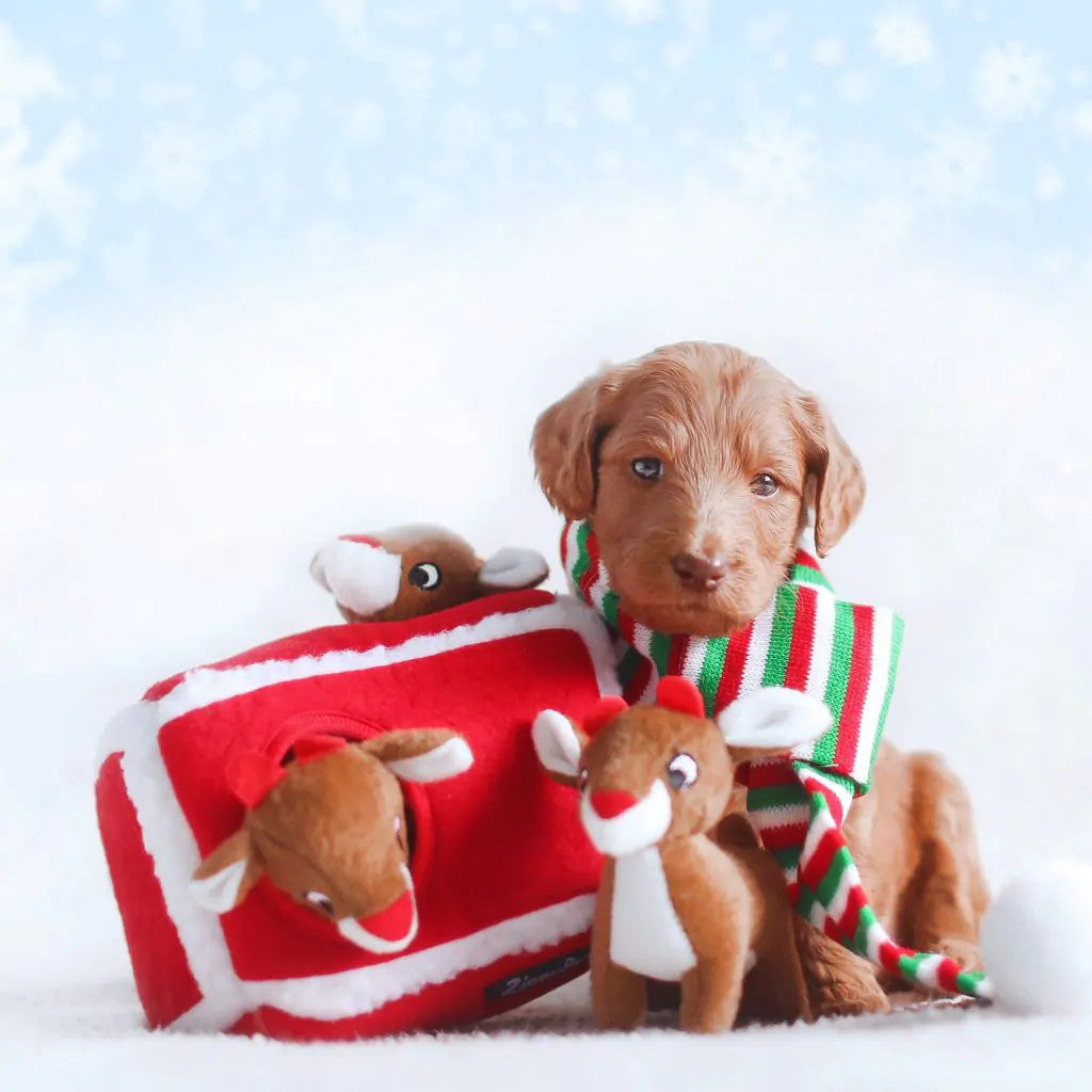 Stuffed Dog Toy - Burrow - Reindeer Pen