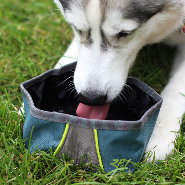 22oz Cloth Pet Travel Bowl