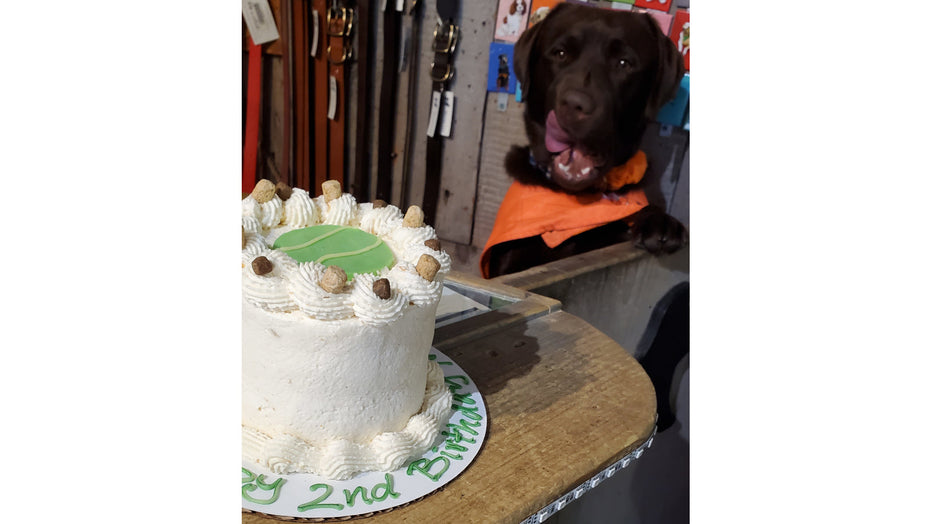 THE BEST BIRTHDAY EVER!!!!! - By Marz