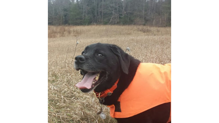 BOOTHBAY REGION LAND TRUST TRAILS - by Coal