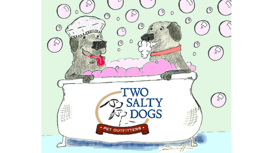 BOOTHBAY HARBOR MUTT SCRUB 2013 - by Auggie