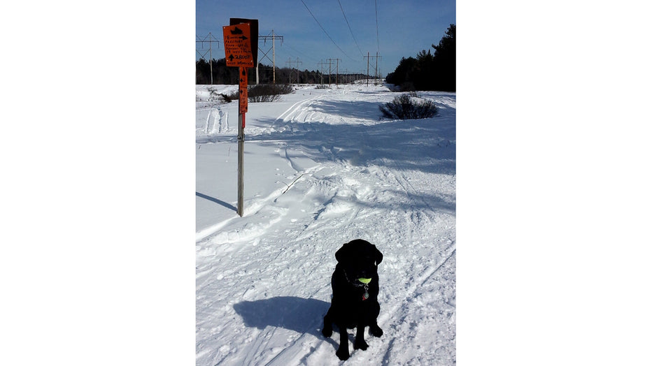 SEALs AT THE GATES OF DON - by Auggie