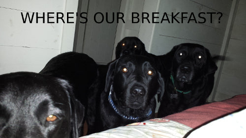 HOW TO GET DON UP FOR BREAKFAST - By Big Buddy