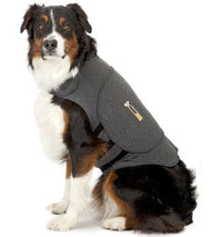 Dog Calming Supplies