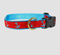 Collection of Dog Collars/Dog Collars Department