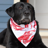 Dog Bandanas