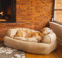 Collection of All Dog Supplies/All Dog Department