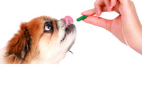 Collection of Dog Supplements/Dog Supplements Department
