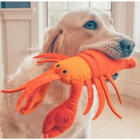 Dog Treat Toys