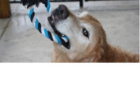 Collection of Dog Tug Toys/Dog Tug Toys Department