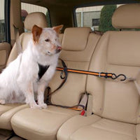 Collection of Dog Car Gear/Dog Car Gear Department