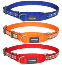 Collection of Martingale Dog Collar/Martingale Dog Collar Department
