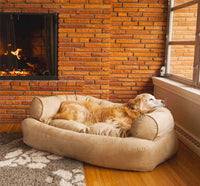 Collection of Dog Beds/Dog Beds Department