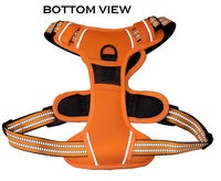 Collection of Utility Dog Harnesses/Utility Dog Harnesses Department