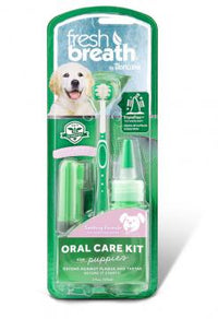 Collection of Dog Teeth Care/Dog Teeth Care Department
