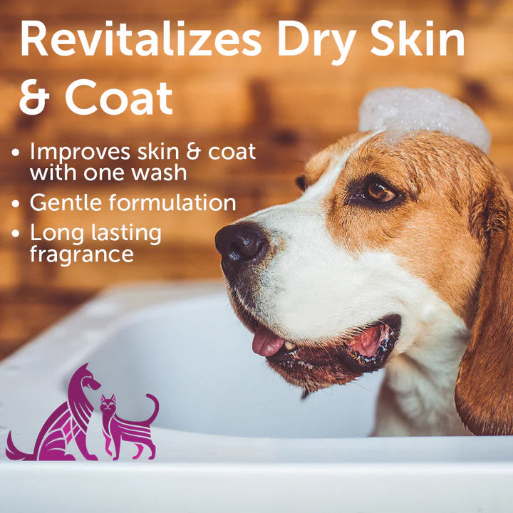 Pet Shampoo - 16oz - Cherry Blossom Scent