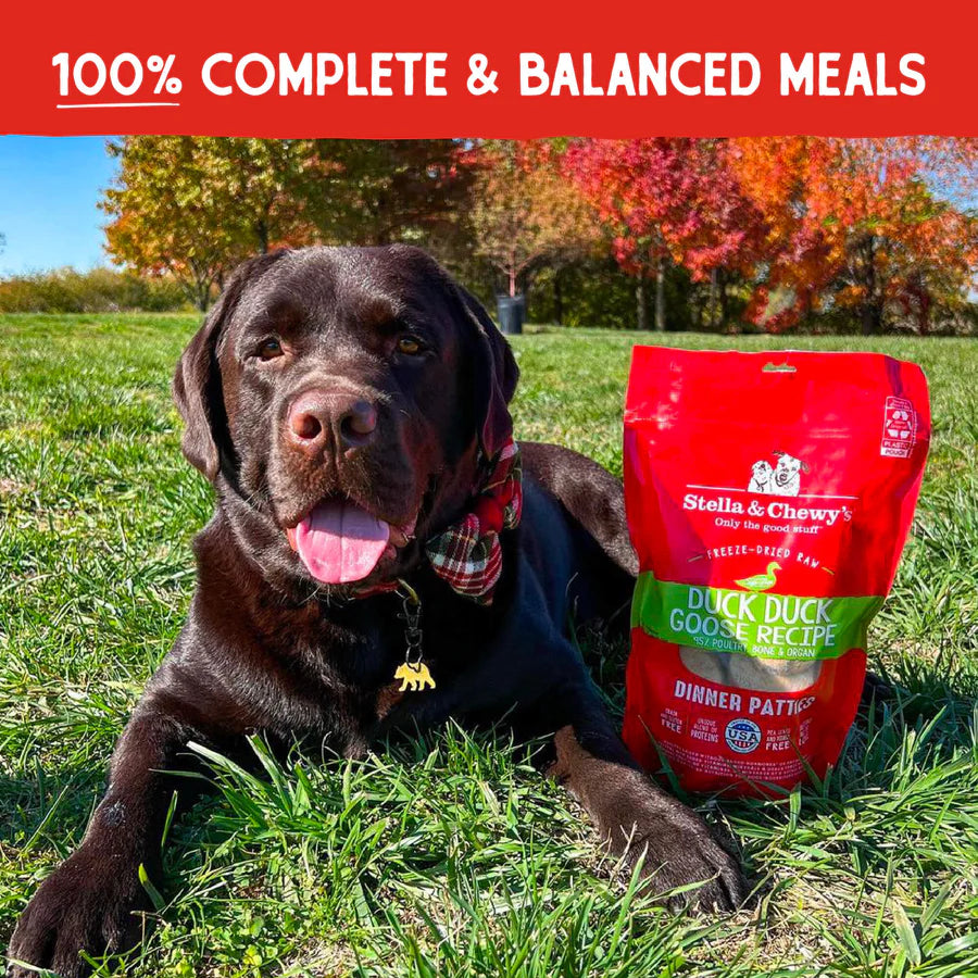 Stella & Cheweys Dehydrated Dog Food - Duck Duck Goose