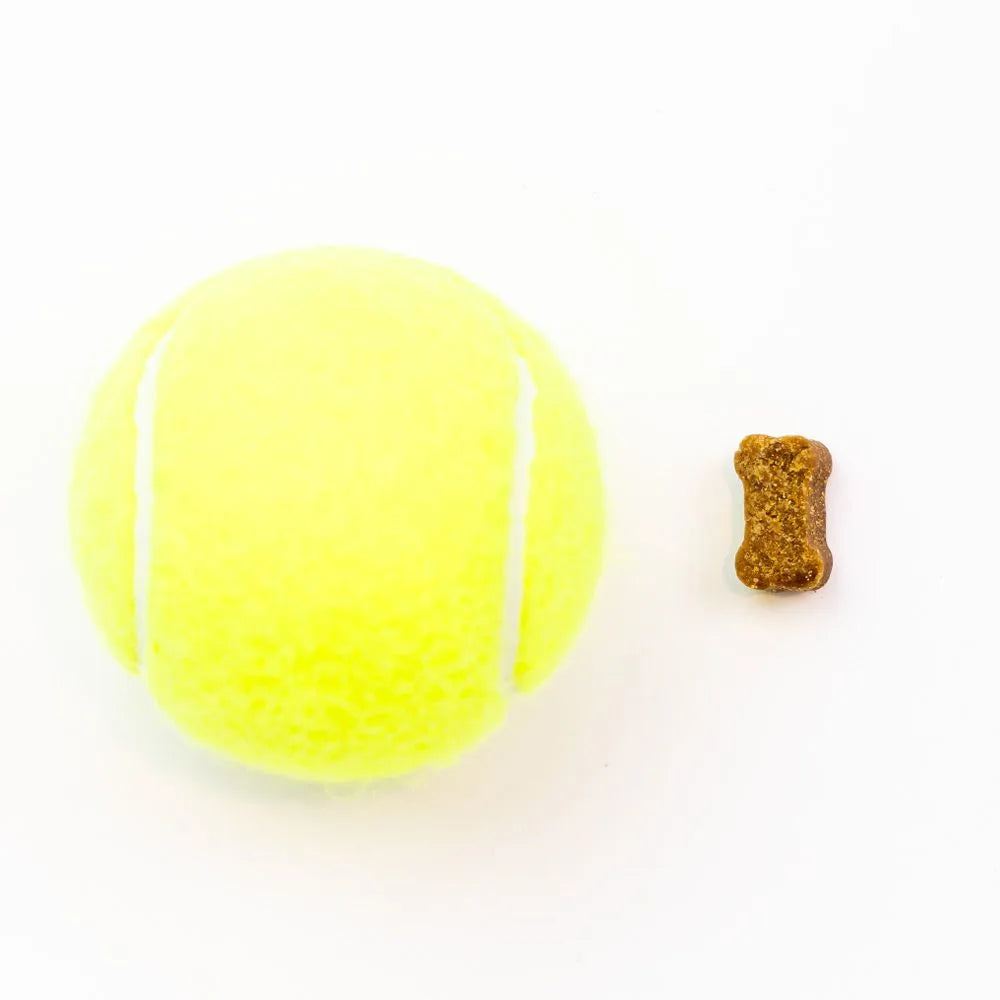 Skin & Coat Supplement Chew - 30ea