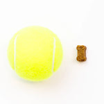 Skin & Coat Supplement Chew - 30ea Thumbnail