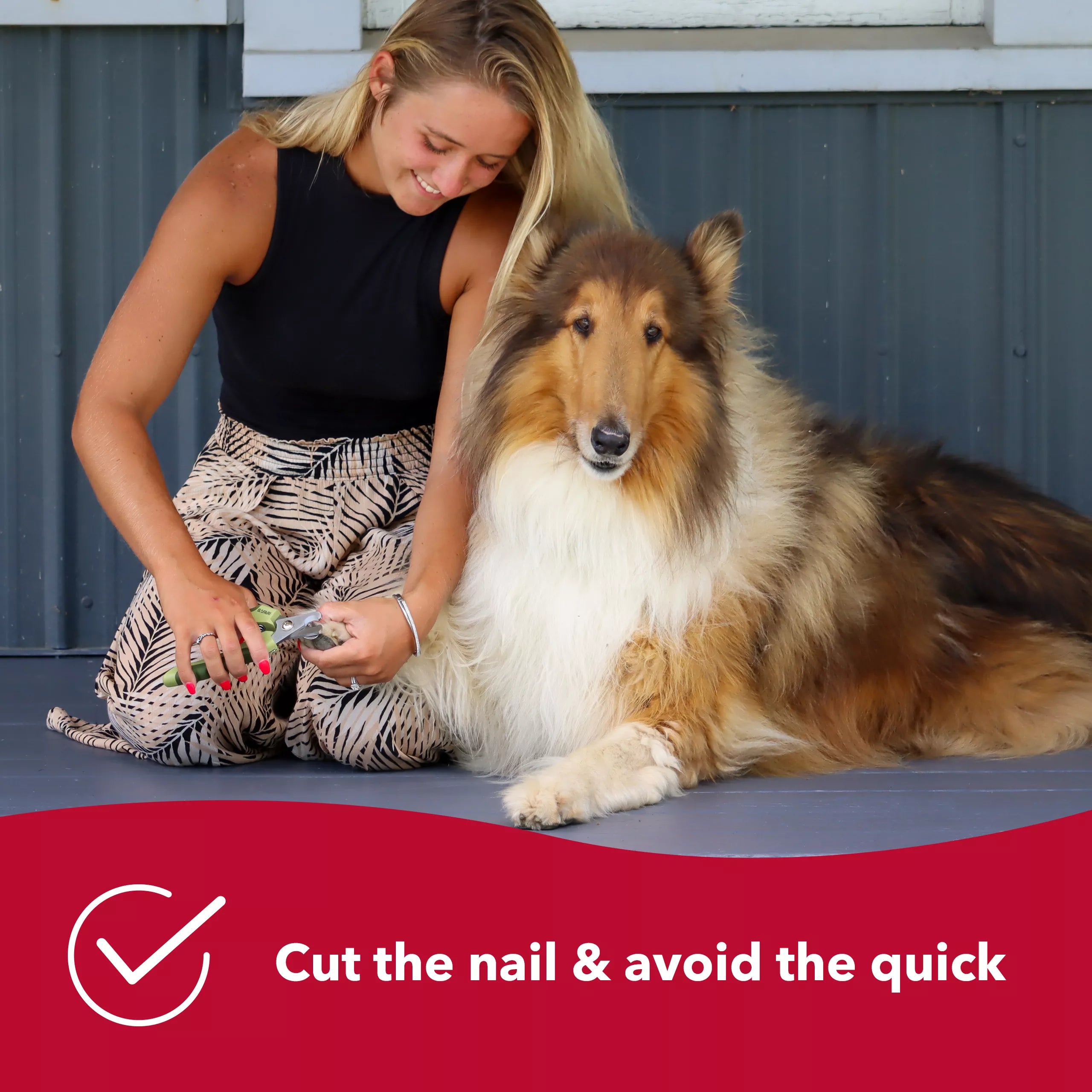 Dog Nail Trimmer