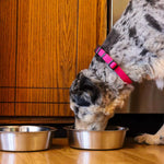 Non-Skid Stainless Steel Bowl Thumbnail